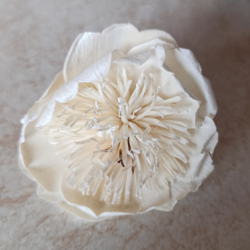 Divé maky 6cm
