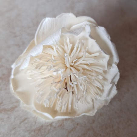 Divé maky 6cm