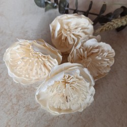 Divé maky 6cm