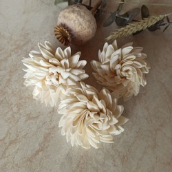 Dalia 6cm