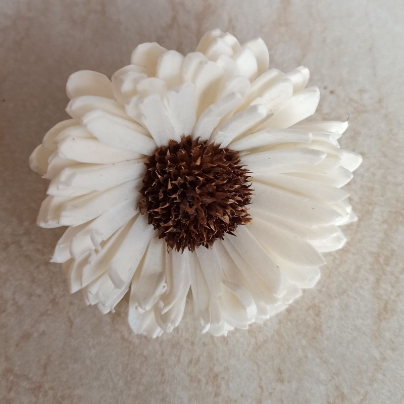 Kvety slnečnice 8cm