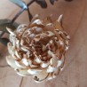 Skin Berry 6cm