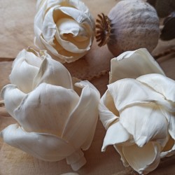 Sola šiška biela 6cm