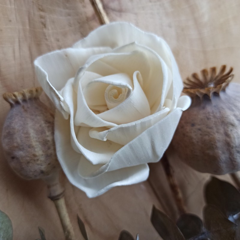 Krásna Ruža Mery 6cm