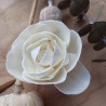 Jednoduchá ružička 6cm