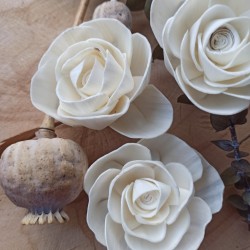 Jednoduchá ružička 6cm