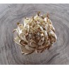 Skin Berry 6cm