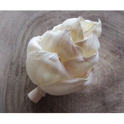 Sola šiška biela 6cm