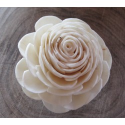 Menšia ruža 6cm