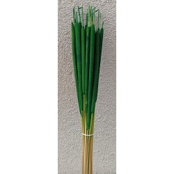Reed Spadix