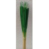 Reed Spadix