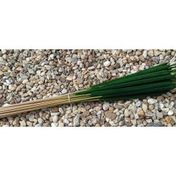 Reed Spadix