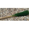 Reed Spadix