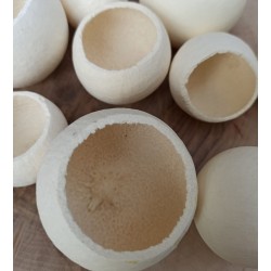 Bell cups biely mix veľkostí