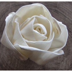 Krásna Ruža Mery 6cm