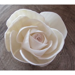 Jednoduchá ružička 6cm