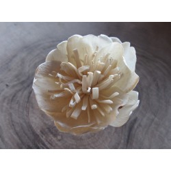 Divé maky 6cm