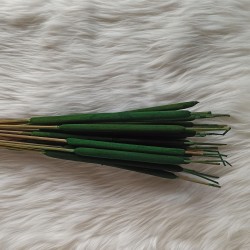 Reed Spadix