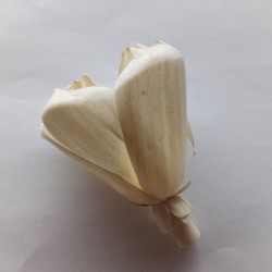 Tulipány