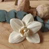 Orchidea II. 6cm