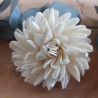 Dalia 6cm